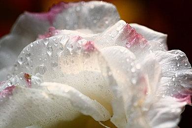 DualSense手柄设计师分享次世代手柄早期设计经历